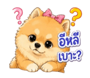 855114502