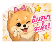 855114506