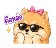 855114508