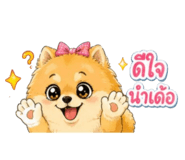 855114514