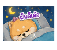 855114516