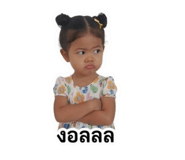 855114558