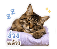 855114745