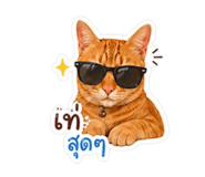 855114799