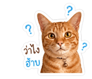 855114802