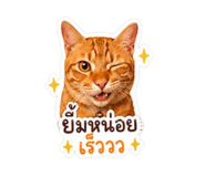 855114808