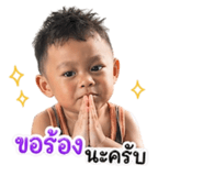 855115686