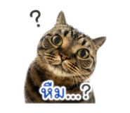 855115781