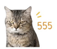 855117496