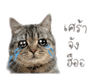 855118340
