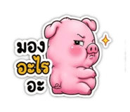 855122684