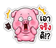 855122690