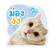 855123293