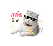 855124286