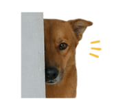 855124349