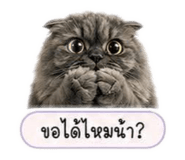 855124418