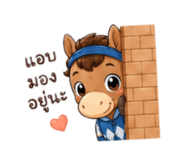 855124443