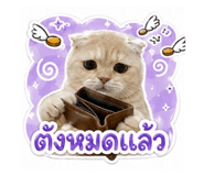 855125299