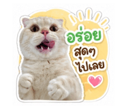 855125301