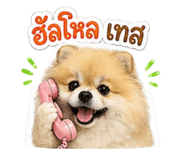 855127425