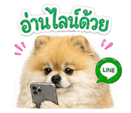 855127437