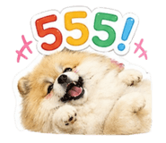 855127445