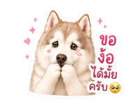 855129452