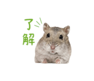 855130370