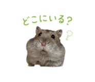 855130374