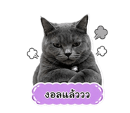 855130886