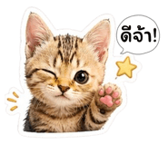 855131457