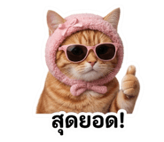 855131923
