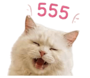 855132143