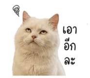 855132149