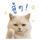 855132150