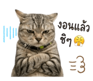 855133286