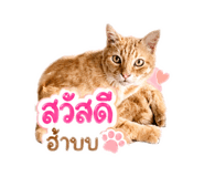 855134041