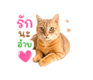 855134043