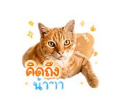 855134044
