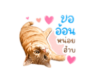 855134046