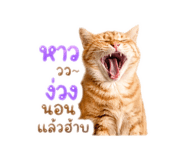 855134047