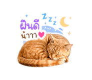 855134048