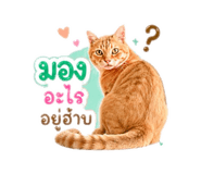 855134050