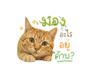 855134055