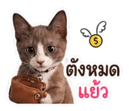 855134383