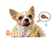 855134444