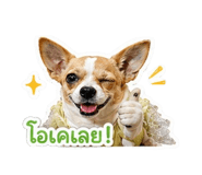 855134446