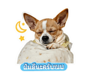 855134455
