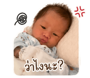 855134660