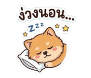 855137907